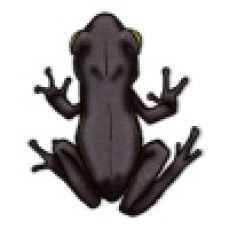 GiantFrogFour[frog,giant,beast,amphibian,swamp,monster,bullywug]