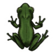 GiantFrogOne[frog,giant,beast,amphibian,swamp,monster,bullywug]
