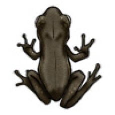 GiantFrogTwo[frog,giant,beast,amphibian,swamp,monster,bullywug]