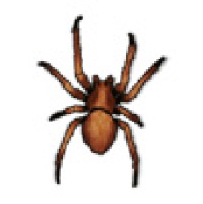 GiantSpiderOne[giant,spider,arachnid,web,forest,dungeon,webbing]