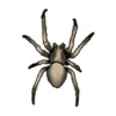 GiantSpiderThree[giant,spider,arachnid,web,forest,dungeon,webbing]