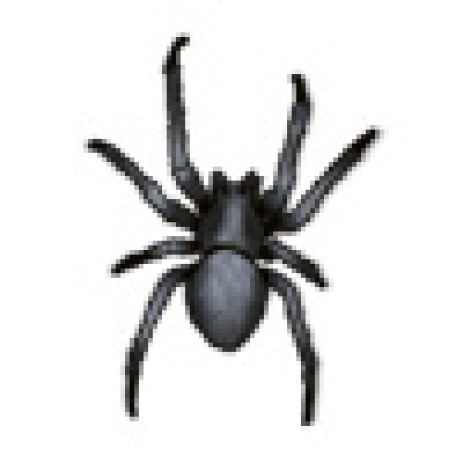GiantSpiderTwo[giant,spider,arachnid,web,forest,dungeon,webbing]